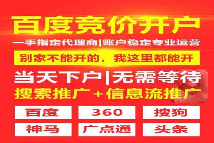 成功SEM搜索引擎优化案例，揭秘优化秘籍